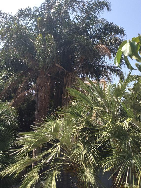 فندق أوسياردهوم باليرمو المظهر الخارجي الصورة